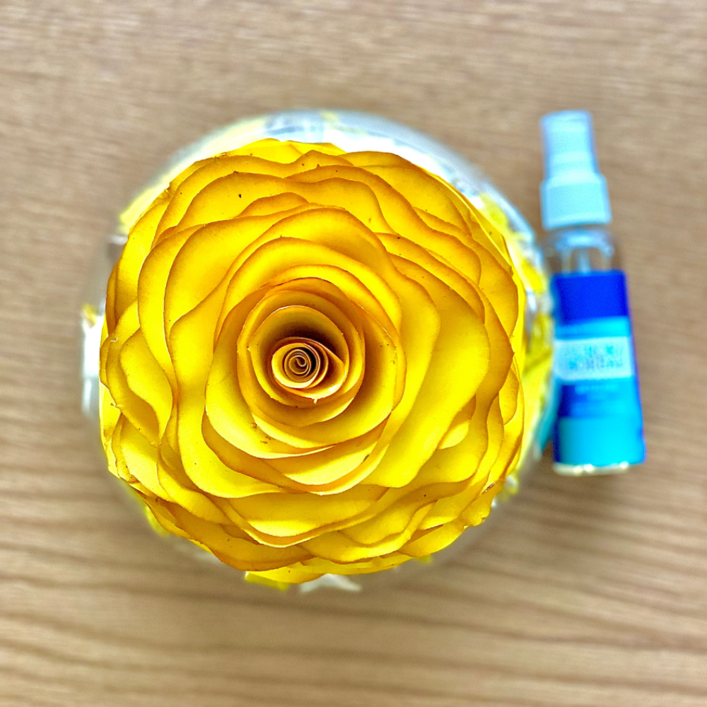 Pout Porri com Flor de madeira Amarela