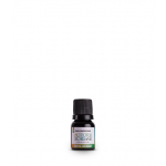Óleo Aromático Concentrado Frutal Gourmet 10ml